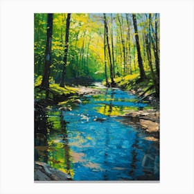 Stream In The Woods 5 Canvas Print