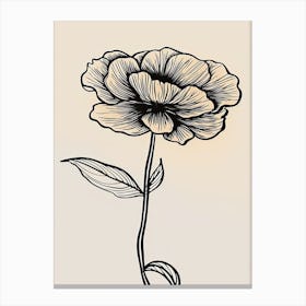 Line Art Marigold Flowers Illustration Neutral 3 Canvas Print