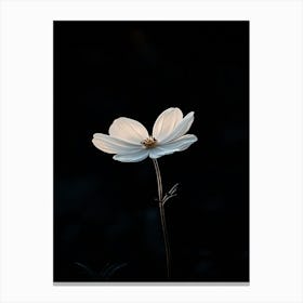 White Flower In The Dark 6 Canvas Print