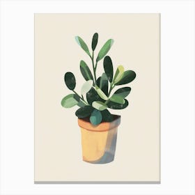 Jade Plant Minimalist Illustration 4 Canvas Print