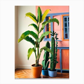 Banana Plant 1 Canvas Print