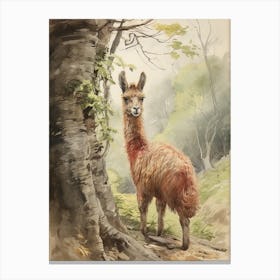 Storybook Animal Watercolour Llama 4 Canvas Print