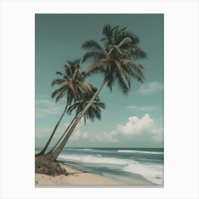 Palm Trees On The Beach 3 Canvas Print