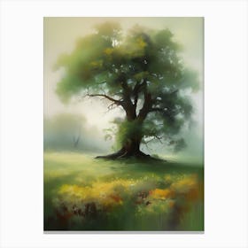 Oak tree, fine work of art, misty atmosphere, green meadow..6 Canvas Print