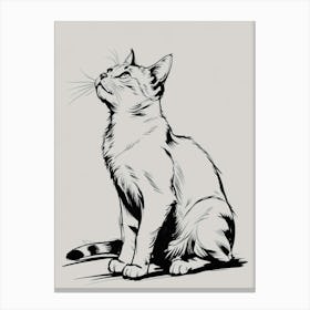 Cat Drawing 1 Canvas Print