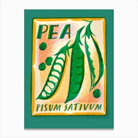 Pea Seed Packet Canvas Print