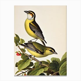 Finch James Audubon Vintage Style Bird Canvas Print