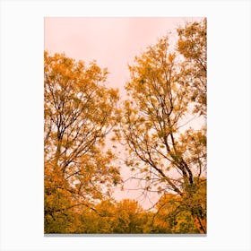 Autumn trees Canvas Print