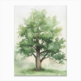 Pecan Tree Atmospheric Watercolour Painting 4 Canvas Print