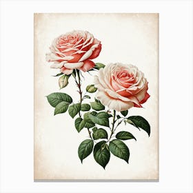 Vintage Galleria Style Rose Art Painting 8 Canvas Print