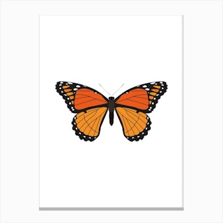 Orange Monarch Butterfly Canvas Print