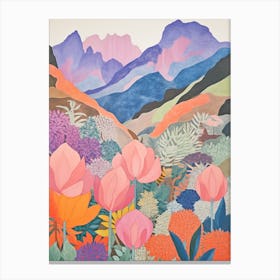 Mount Kanlaon Philippines 2 Colourful Mountain Illustration Canvas Print