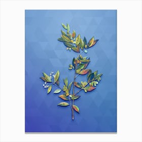 Vintage Fontanesia Phillyreoides Botanical Art on Blue Perennial n.0061 Canvas Print