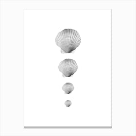 Seashell Collage Canvas Print