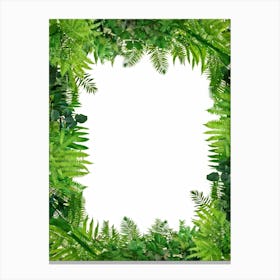 Fern Leaves Frame Canvas Print