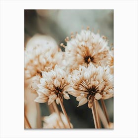 Neutral flowers cottagecore Canvas Print