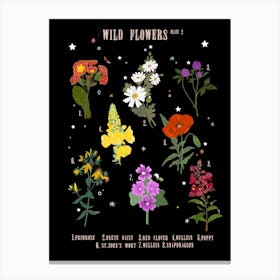 Handdrawn Wild Flowers Plate 2 Black Canvas Print