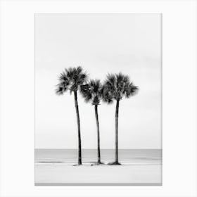 Three Palm Trees On The Beach 1 Canvas Print