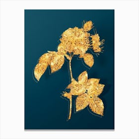 Vintage Pink Francfort Rose Botanical in Gold on Teal Blue n.0349 Canvas Print