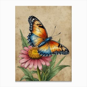 Butterfly On A Flower 2 Canvas Print