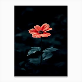 Single Flower 2 Canvas Print