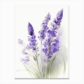 Lavender Wildflower Watercolour Canvas Print