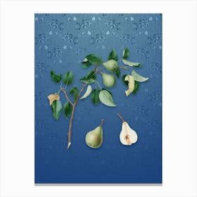 Vintage Pear Botanical on Bahama Blue Pattern n.1057 Canvas Print