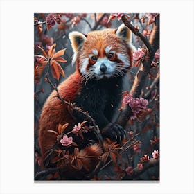 Red Panda In Blossoms Canvas Print