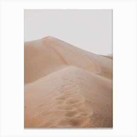 Sand Dune Sunset Canvas Print