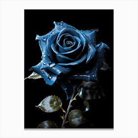 Blue Rose 5 Canvas Print