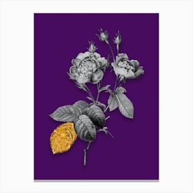 Vintage Anemone Centuries Rose Black and White Gold Leaf Floral Art on Deep Violet n.0866 Canvas Print