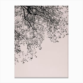 Branches 3 Canvas Print