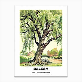 Balsam Tree Storybook Illustration 3 Poster Canvas Print