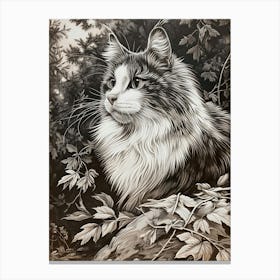 Norwegian Forest Cat Relief Illustration 4 Canvas Print