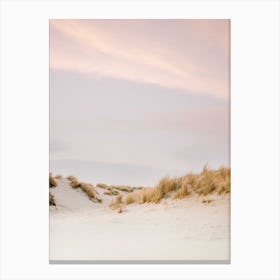 Pink And Purple Sky Canvas Print