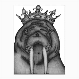 The Walrus King Canvas Print