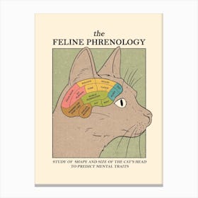 Feline Phrenology Canvas Print