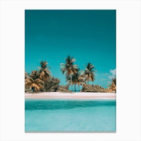 Tropical Beach With Palm Trees 2 Canvas Print