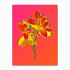 Neon Eastern Leatherwood Botanical in Hot Pink and Electric Blue n.0534 Canvas Print