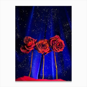 Roses In The Sky With Stars Canvas Print