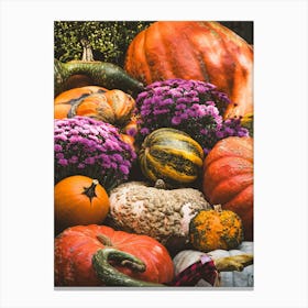 Pumpkin Harvest Fall Fruit Nature Canvas Print