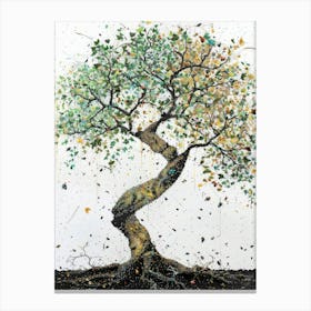 Bonsai Tree Canvas Print