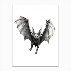 Common Pipistrelle Bat Illustration 2 Canvas Print