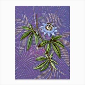 Vintage Blue Passionflower Botanical Illustration on Veri Peri n.0327 Canvas Print