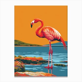 Greater Flamingo South America Chile Tropical Illustration 1 Canvas Print