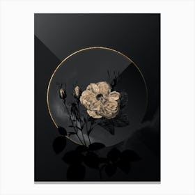 Shadowy Vintage White Rose of York Botanical in Black and Gold n.0030 Canvas Print
