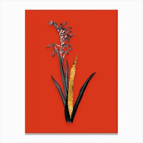 Vintage Antholyza Aethiopica Black and White Gold Leaf Floral Art on Tomato Red Canvas Print