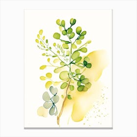 Fenugreek Herb Minimalist Watercolour Canvas Print