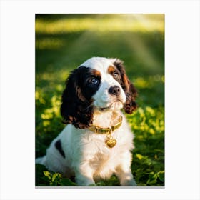 English Spaniel Puppy Radiating Adorableness Wearing A Shimmering Gold Collar Perched On A Lush G (6) Canvas Print