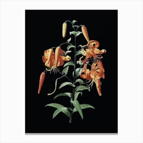 Vintage Tiger Lily Botanical Illustration on Solid Black n.0160 Canvas Print